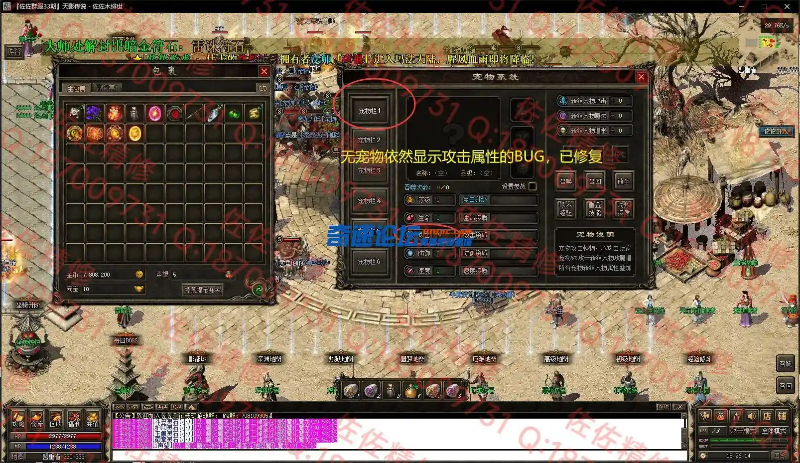 13.webp