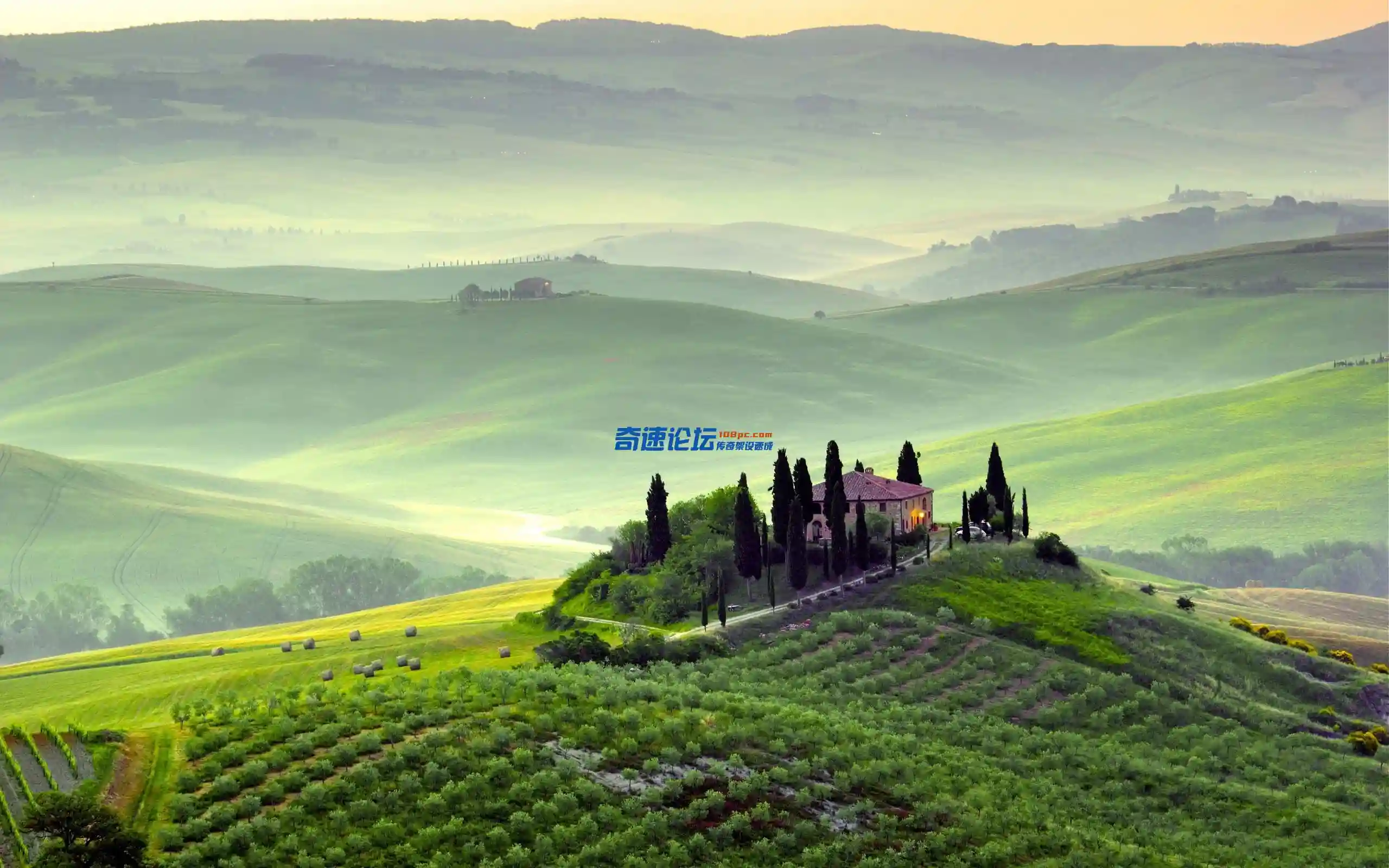 5b18f37614638.webp