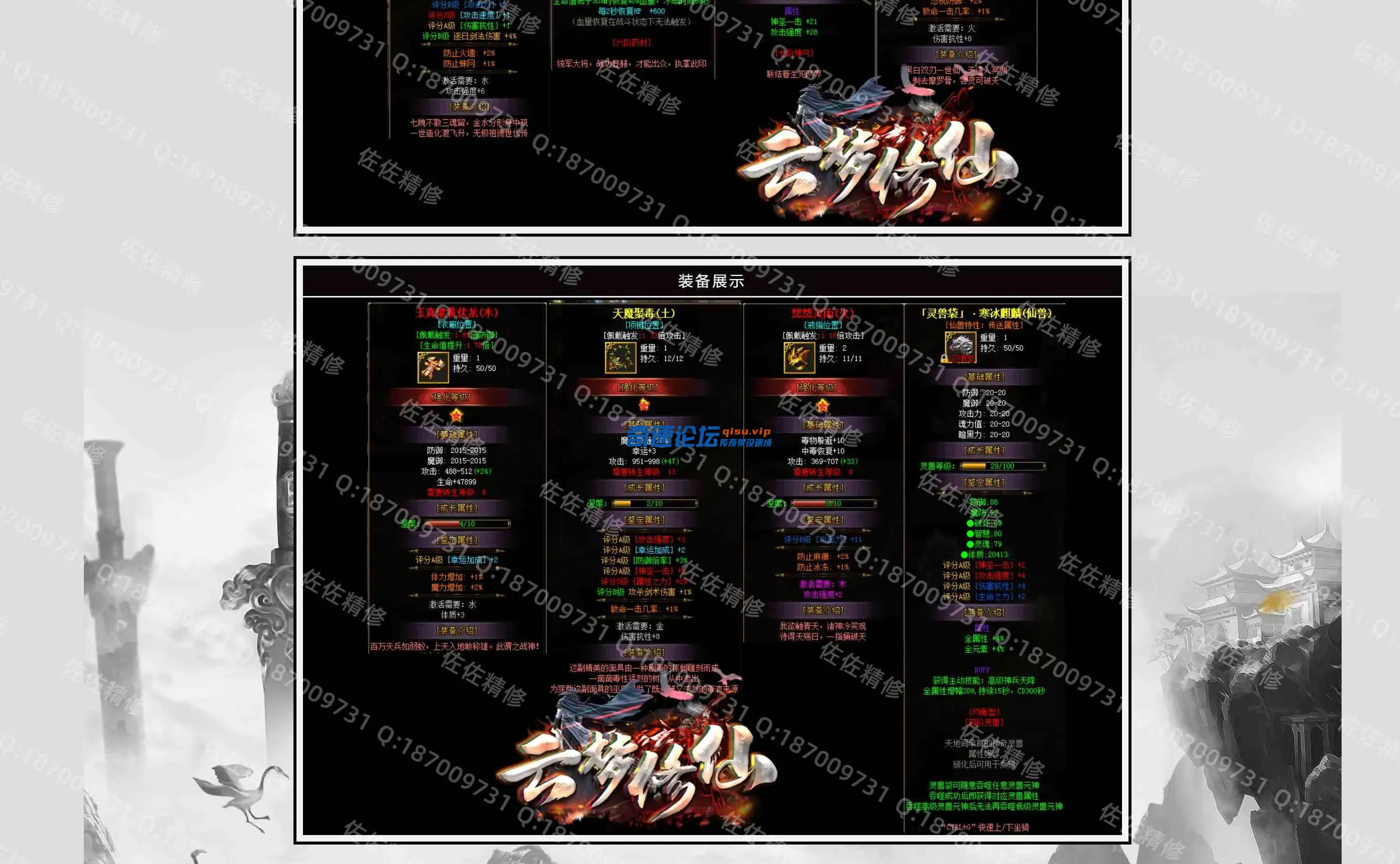 网站7.webp