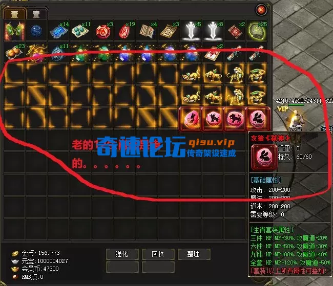 修复十二生肖的内观.webp