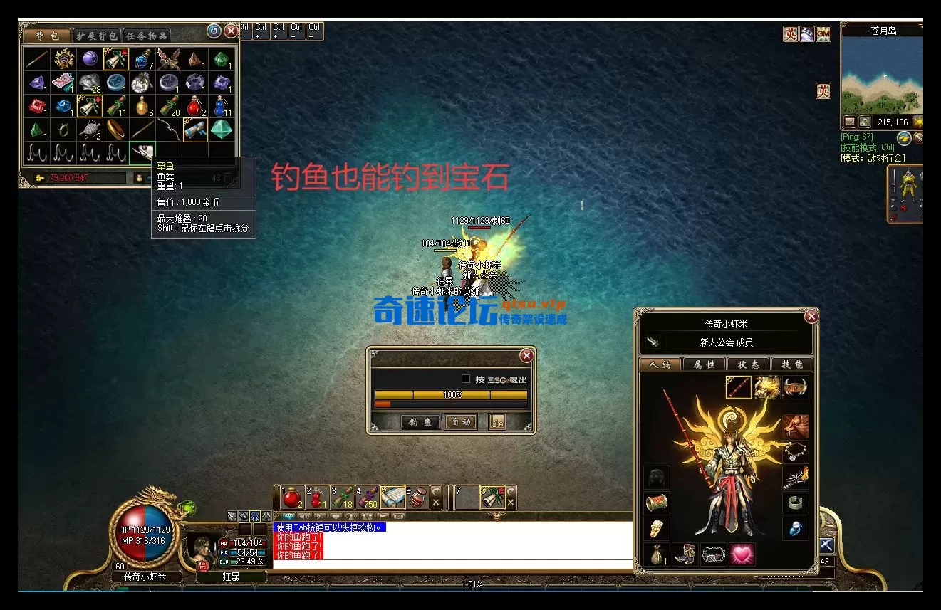 钓鱼和宝石.webp