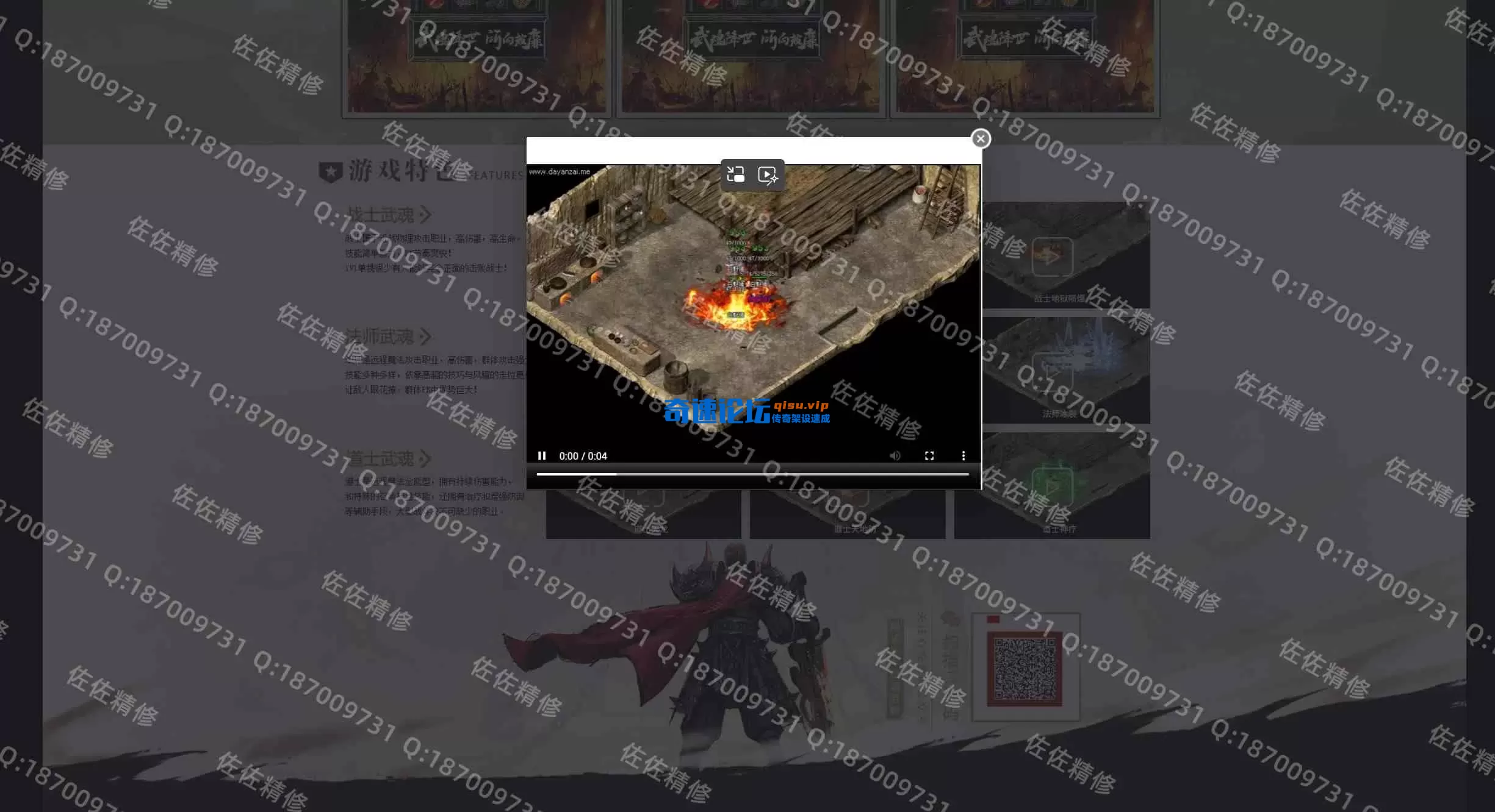 网站4.webp