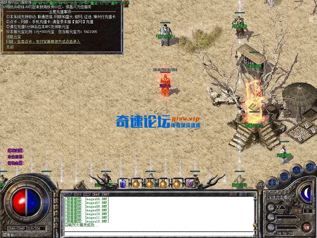 13.webp