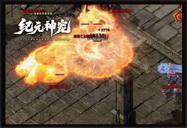 8.gif