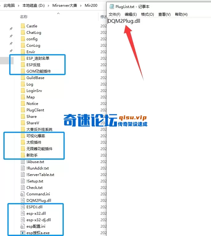 5.webp