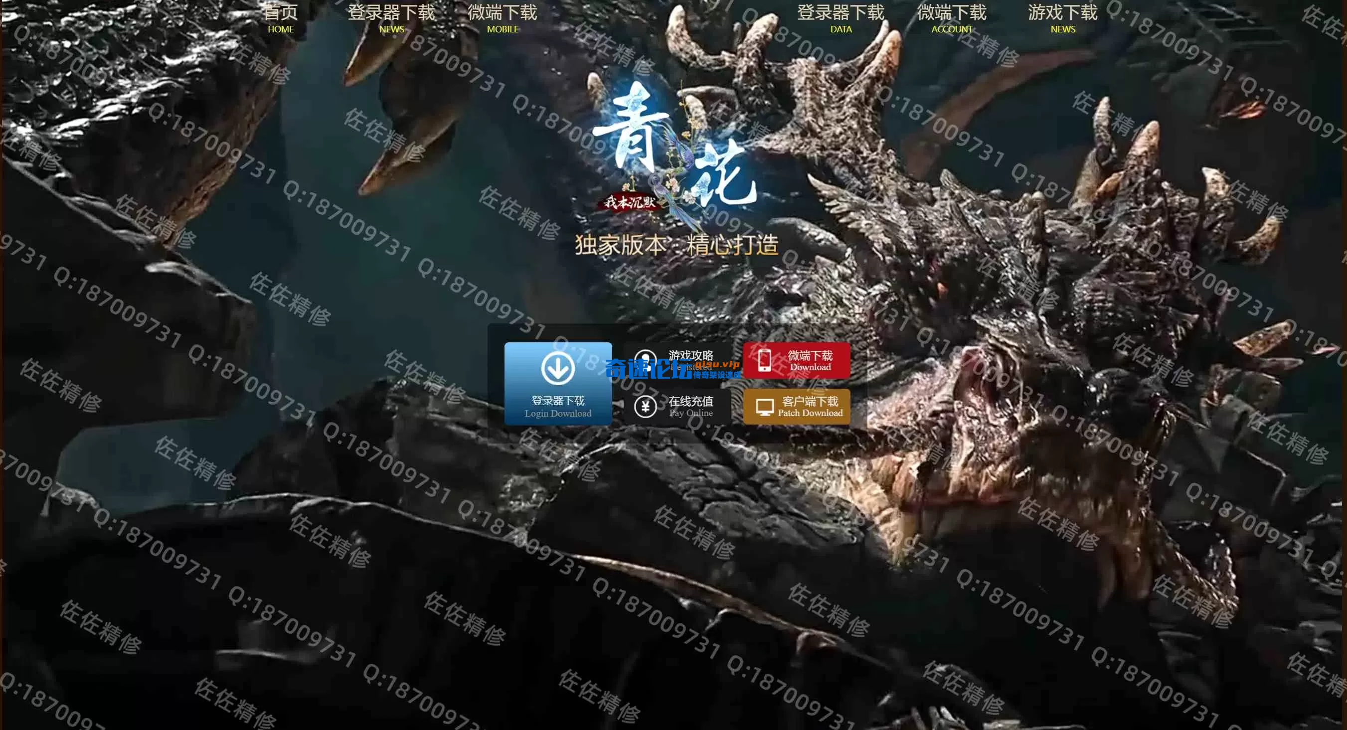网站1.webp