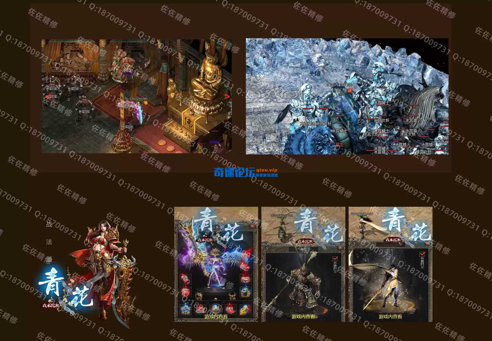 网站3.webp