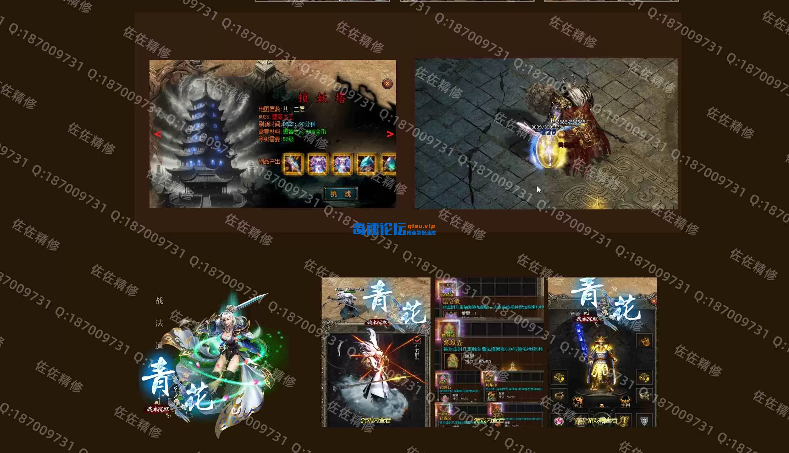 网站5.webp