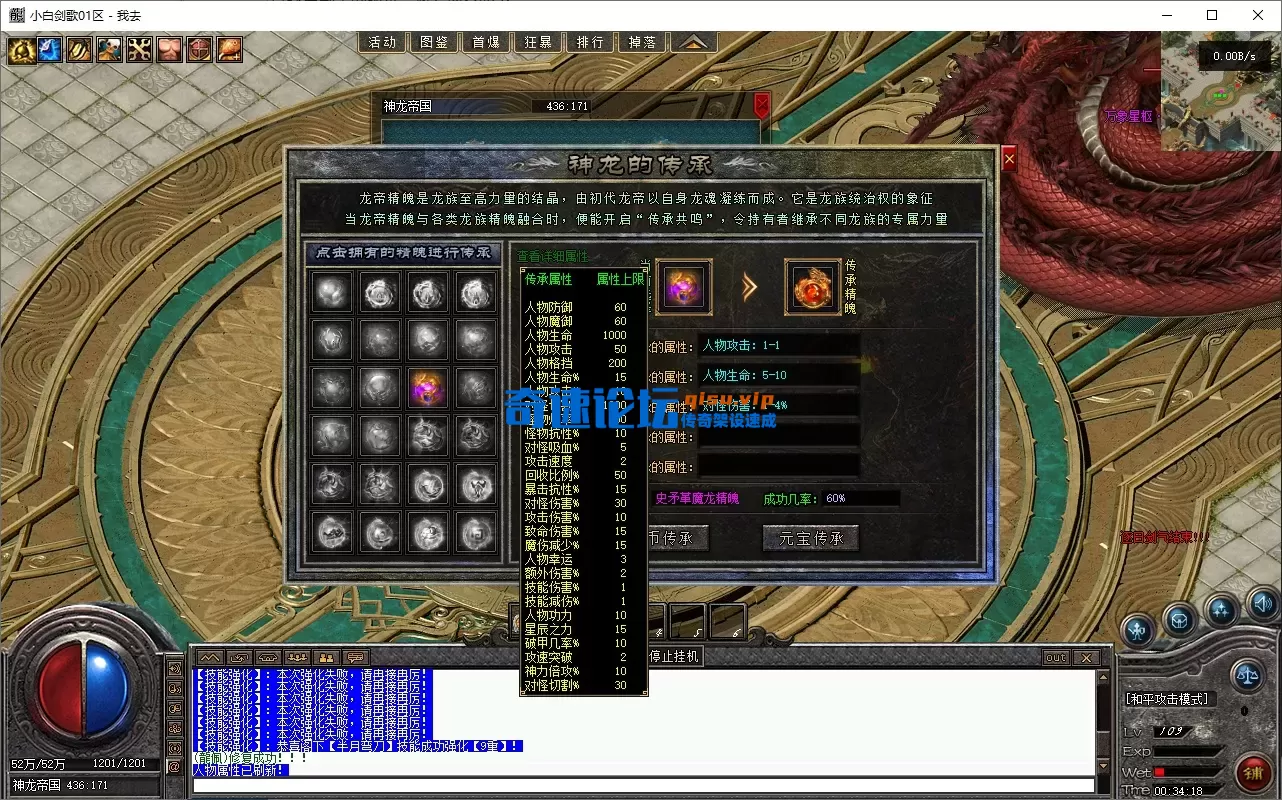 13.webp