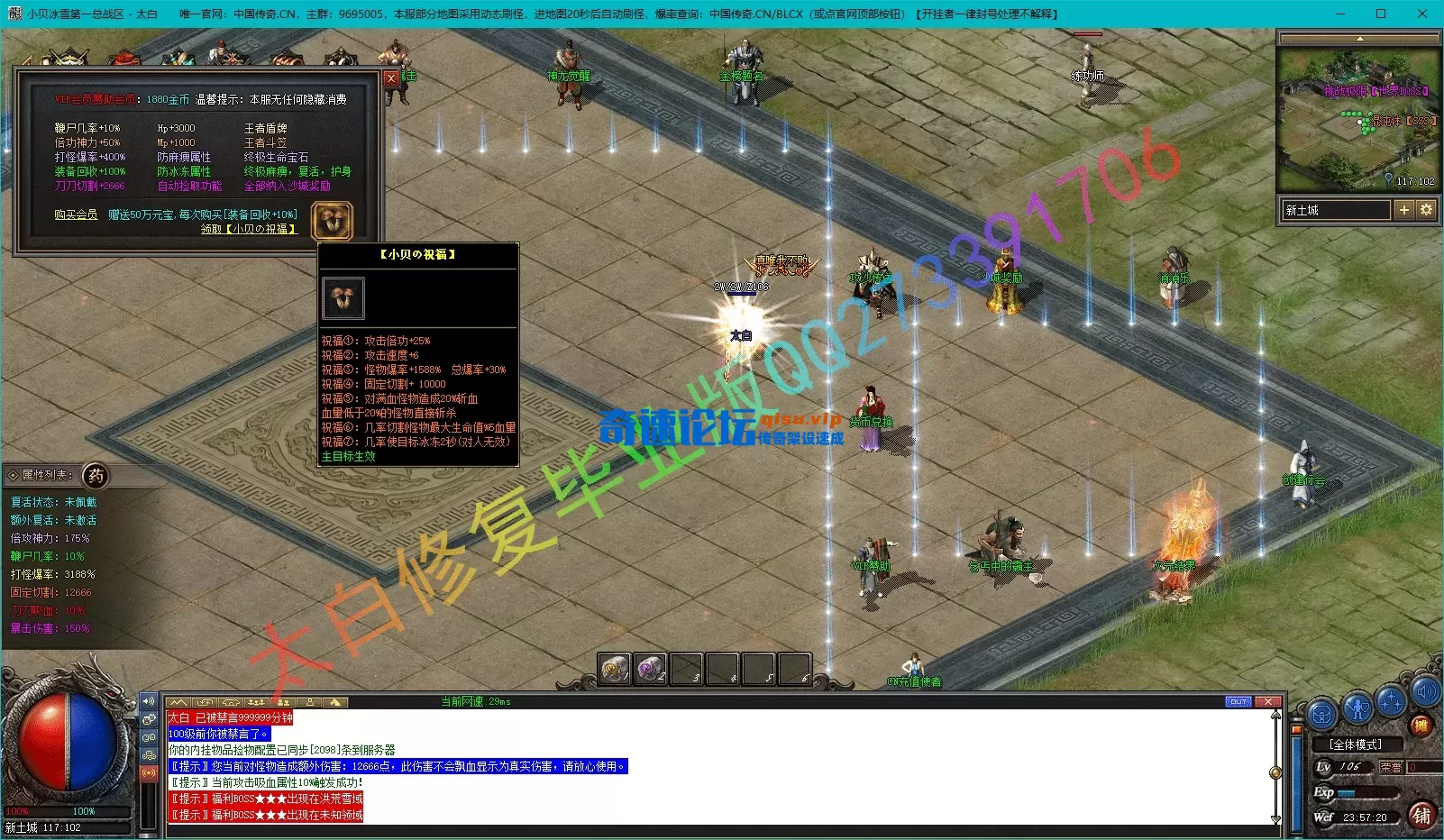 8.webp