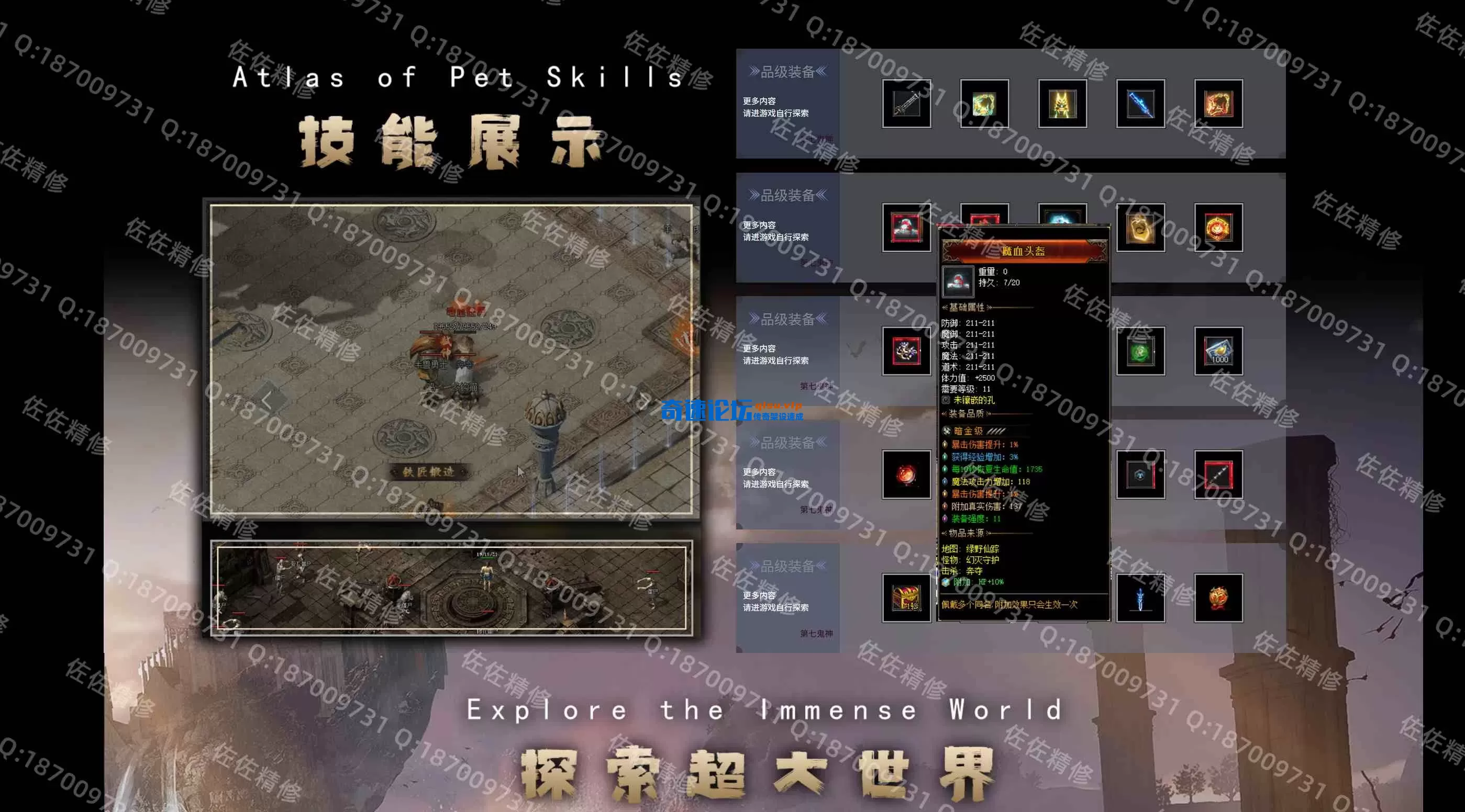 网站2.webp