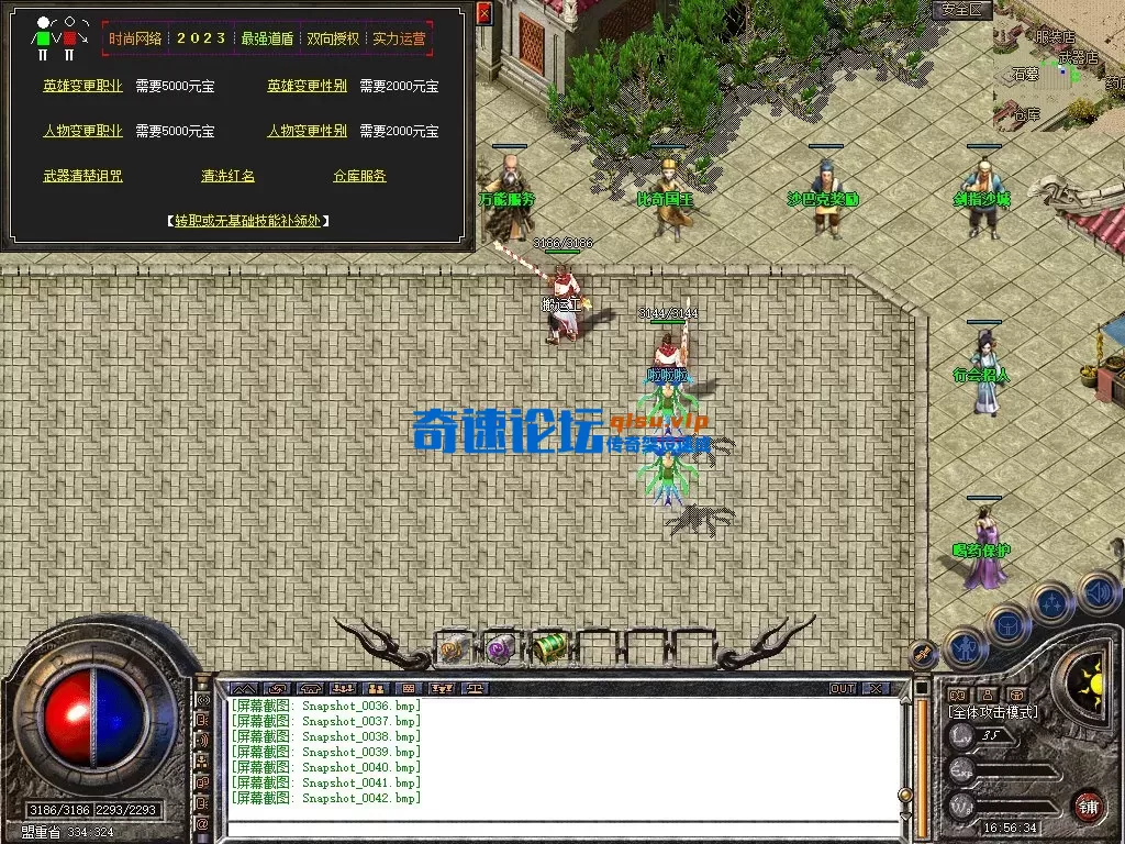 Snapshot_0043.webp