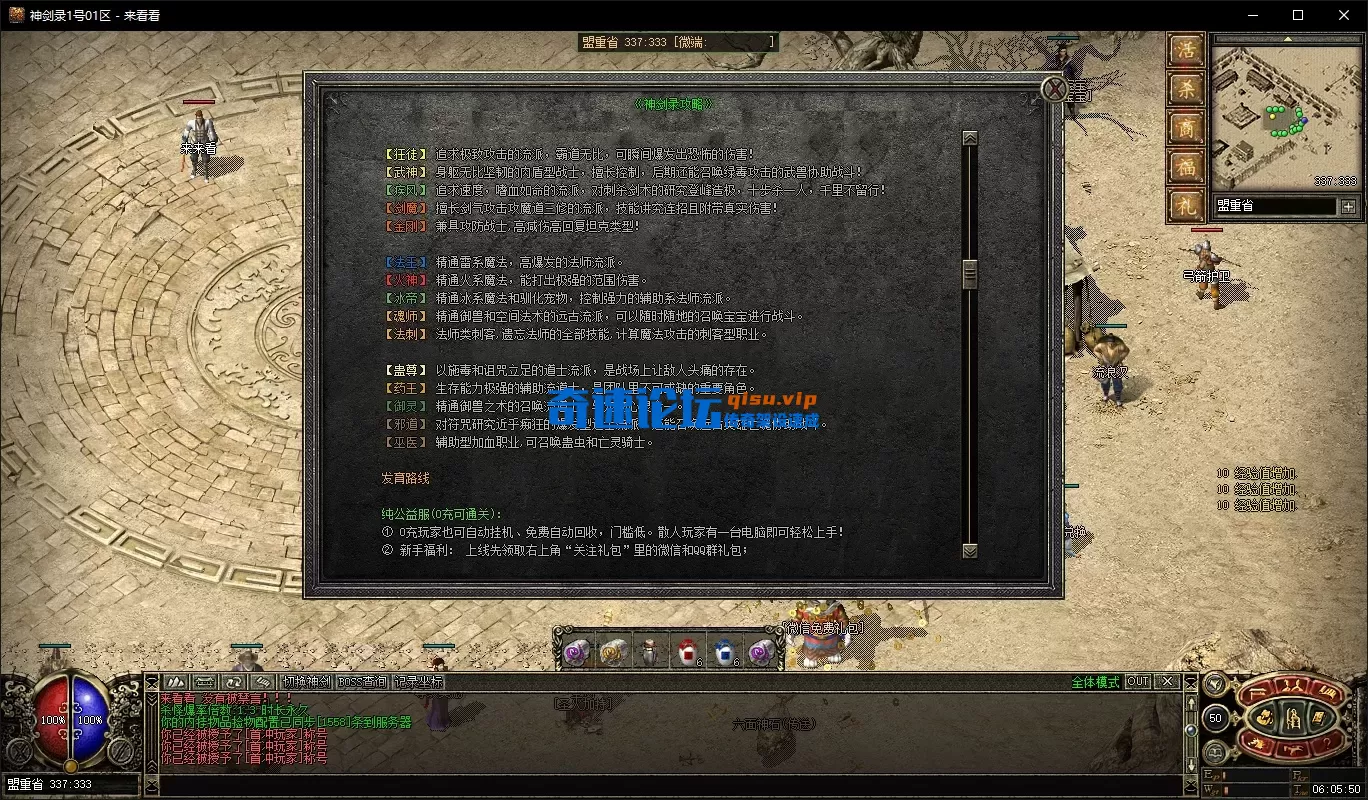 游戏攻略.webp