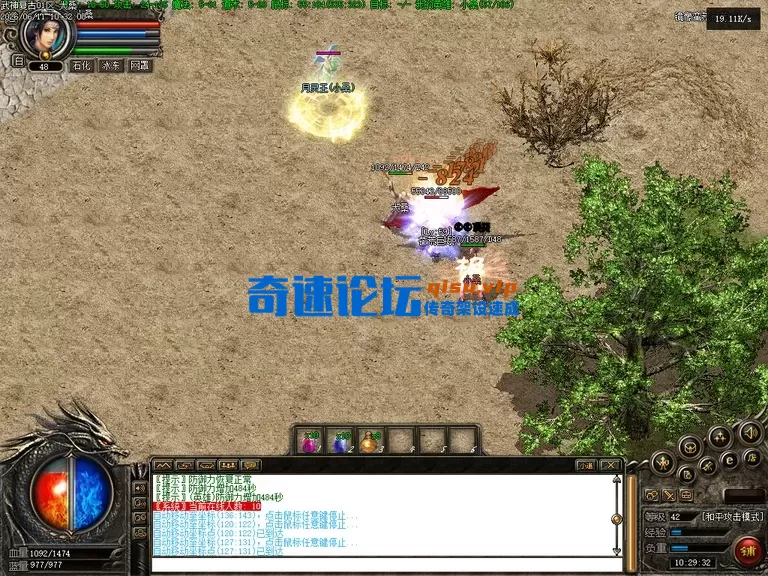 Images06.webp