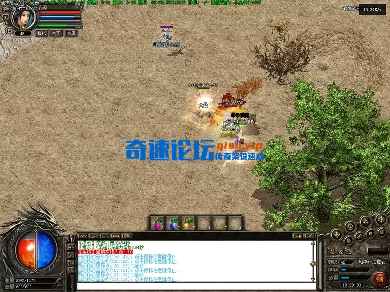 Images07.webp