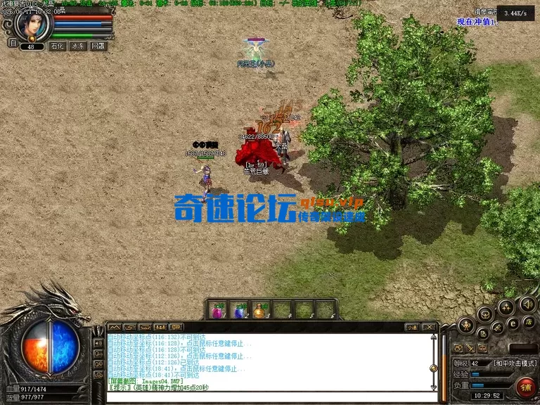 Images18.webp