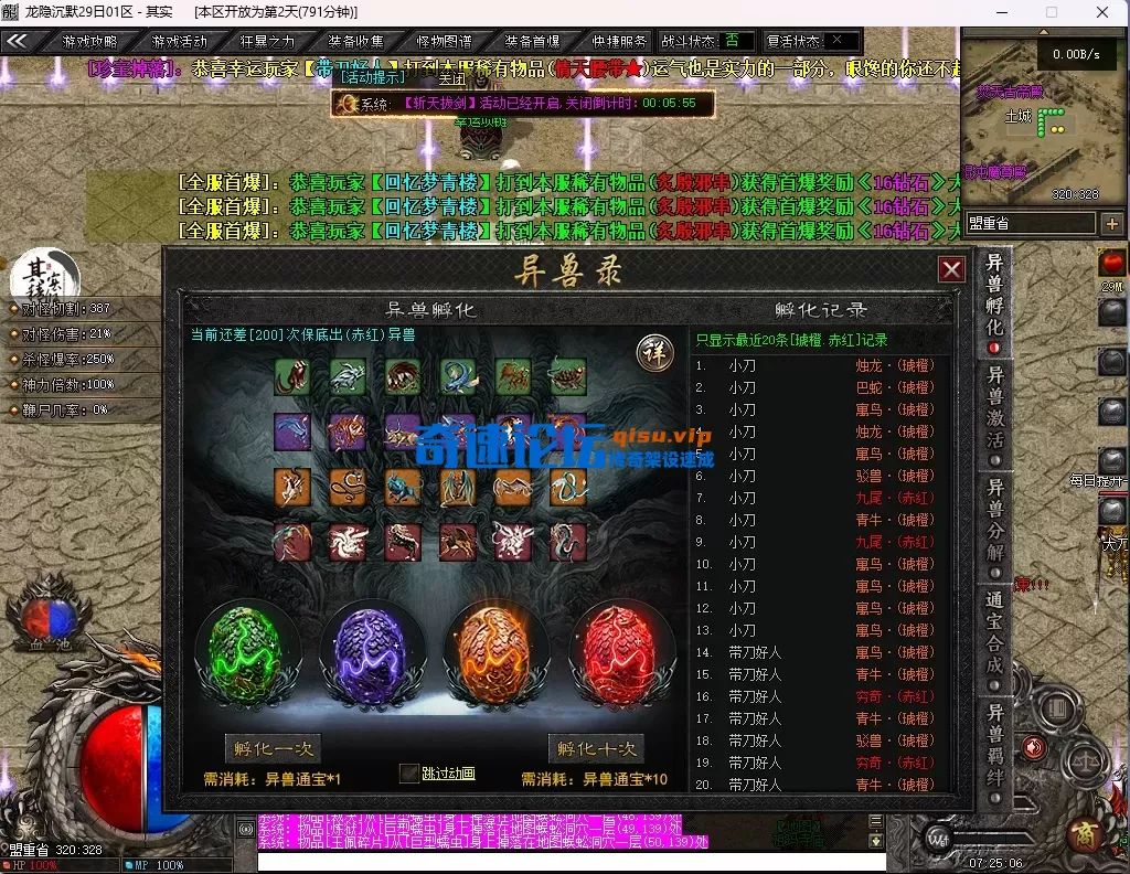5.webp