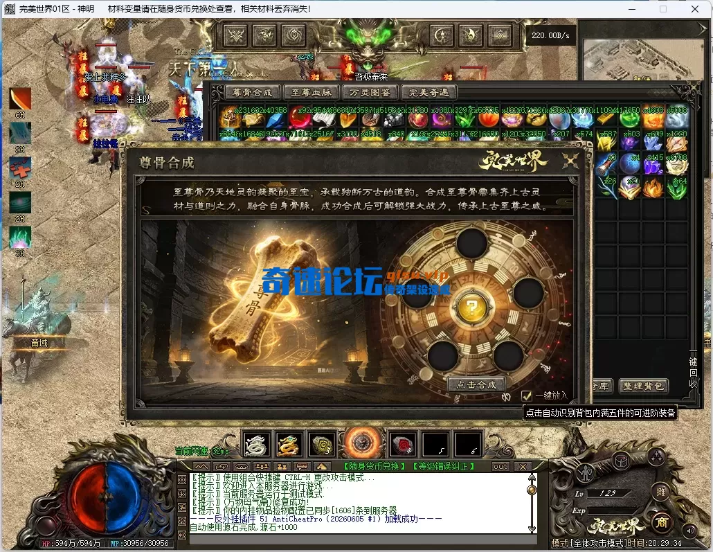 5.webp