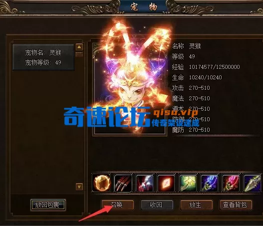 宝宝与宠物22.webp