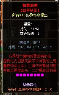 13.webp